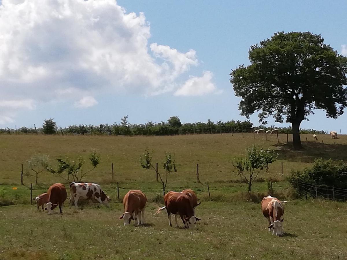 Valle Del Poggio Nocera Umbra Kültér fotó